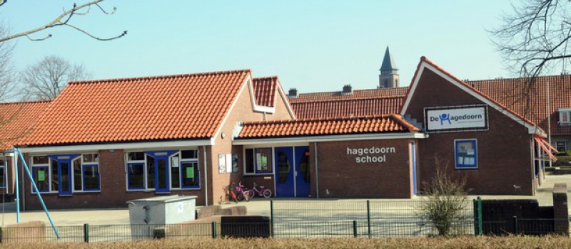 Buurten bij De Hagedoorn in Almelo