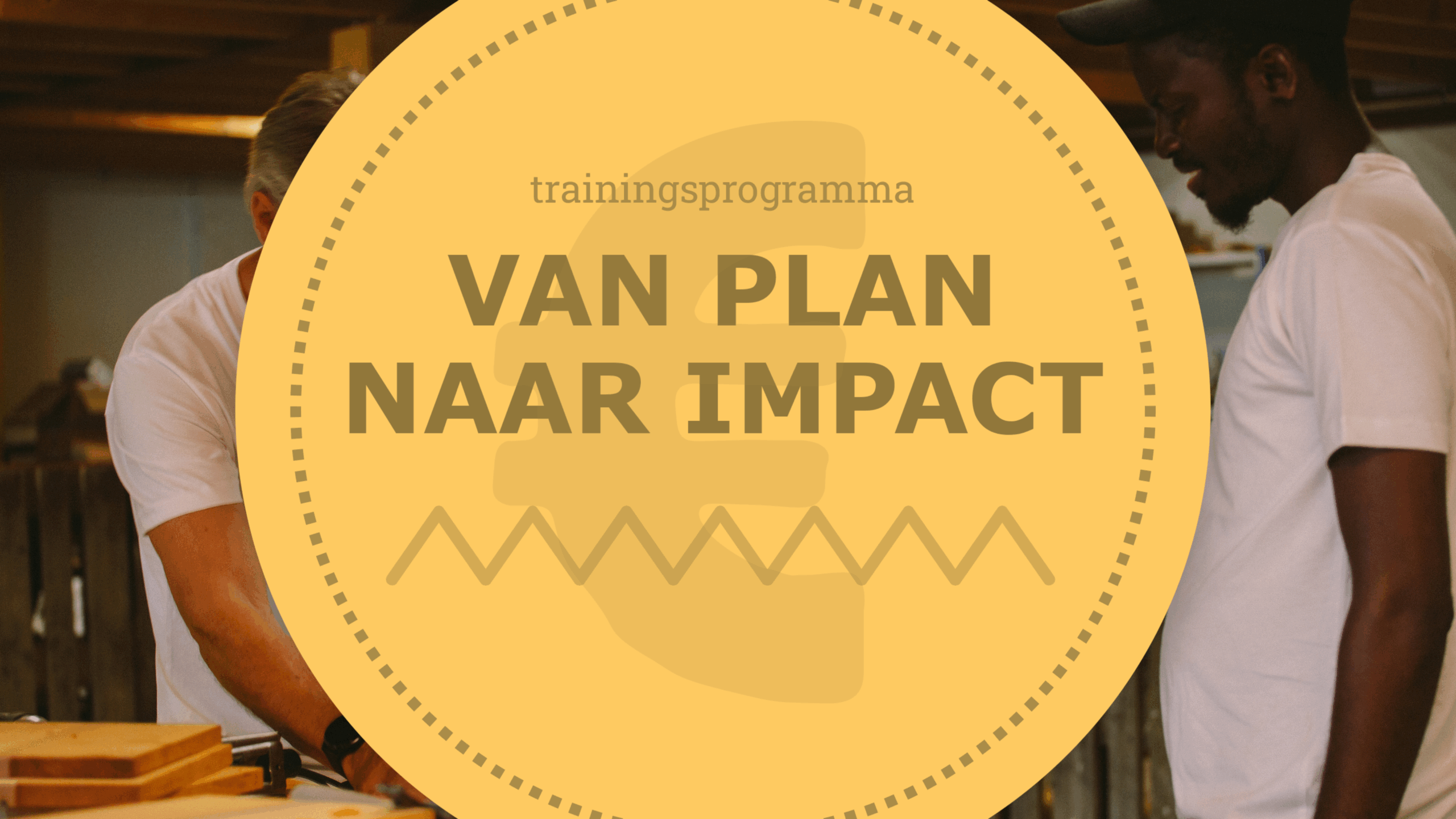 Meerdaags programma Van Plan Naar Impact