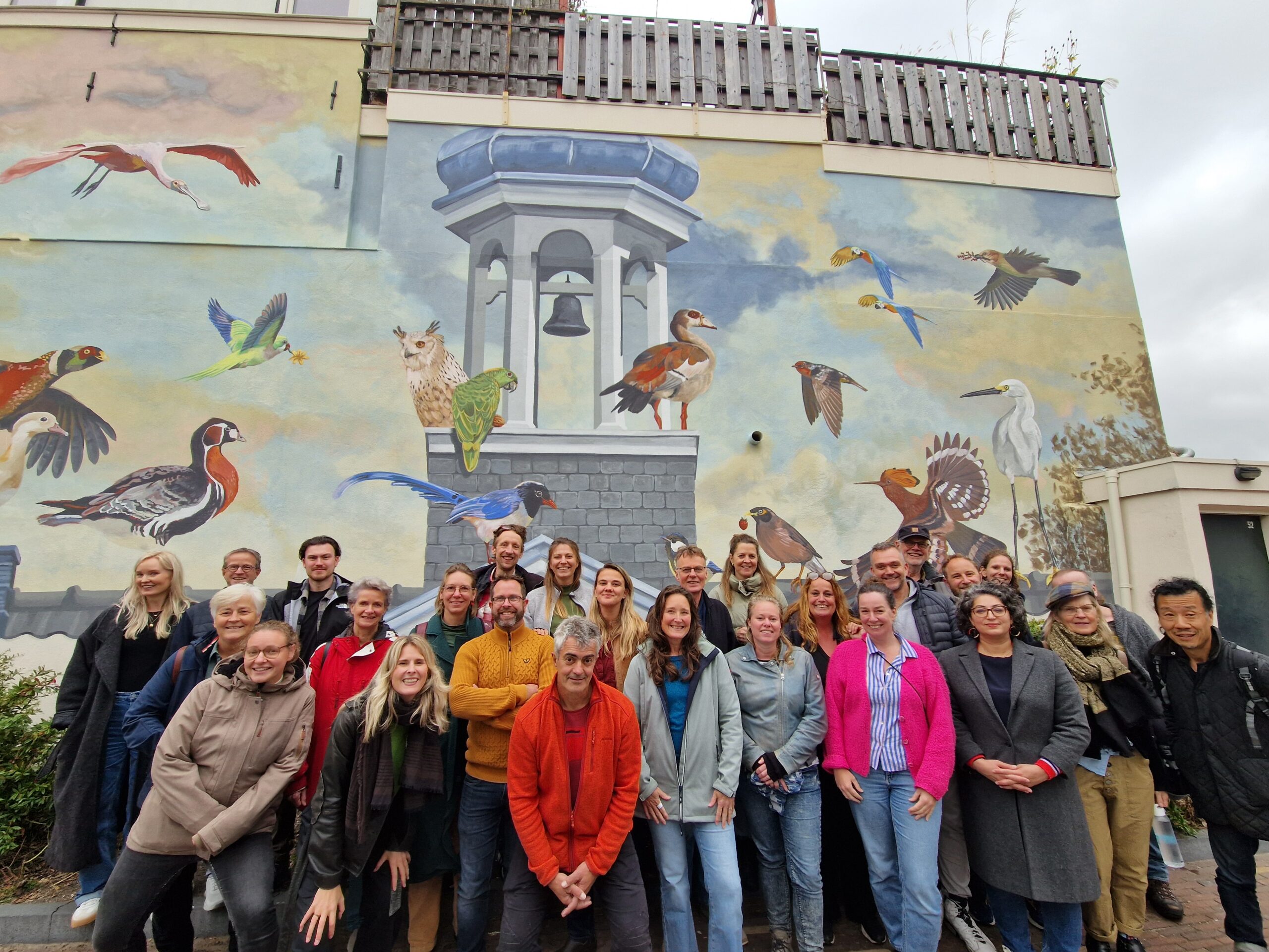 Ontmoet de 13 deelnemers van “Van Plan Naar Impact”!